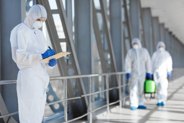 Best Black Mold Removal  in Fortville, IN
